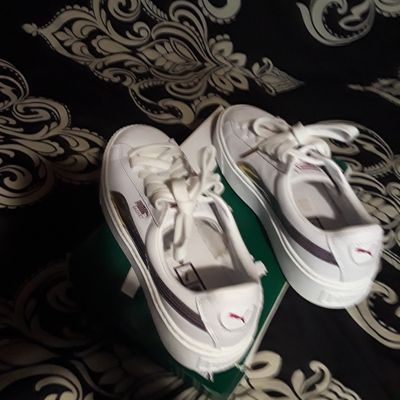 Puma platform - Picture 5 of 5